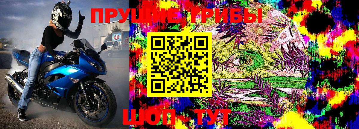 Галлюциногенные грибы Magic Shrooms  Галлюциногенные грибы GOLDEN TEACHER  Гудермес  Вход с VPN 