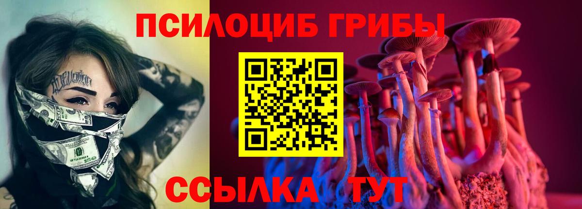 Псилоцибиновые грибы ЛСД Гудермес